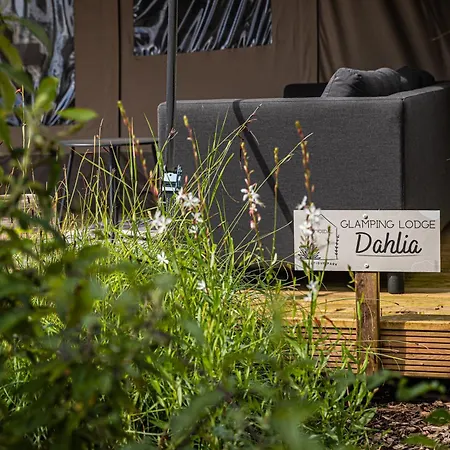 Luxe Glamping Dahlia 別荘 メールッセン