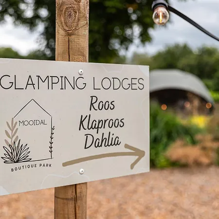 Luxe Glamping Dahlia *